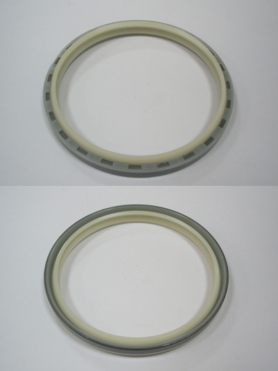 TYPE 1