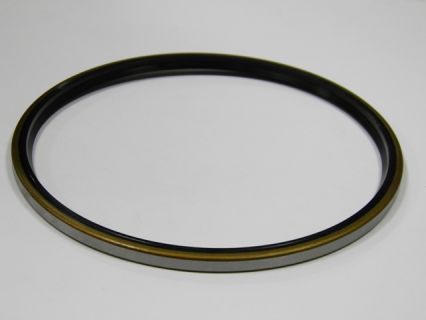 OIL SEAL-V系列 (VC-VB)